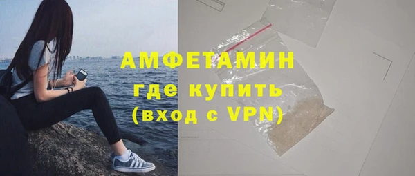 мдпв Бикин