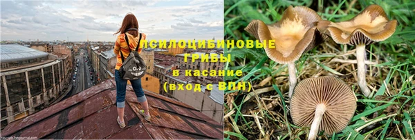 MDMA Premium VHQ Бородино