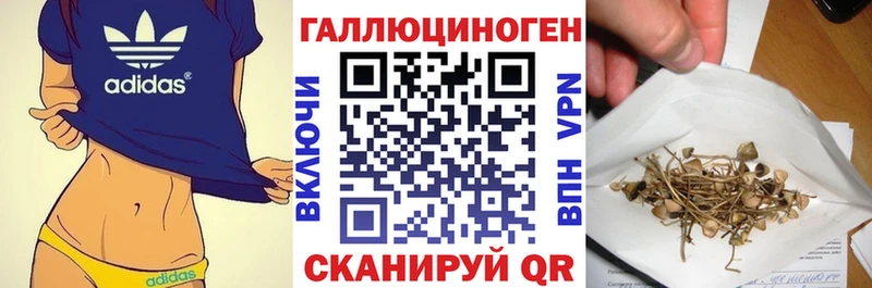 Псилоцибиновые грибы ЛСД  Ростов 